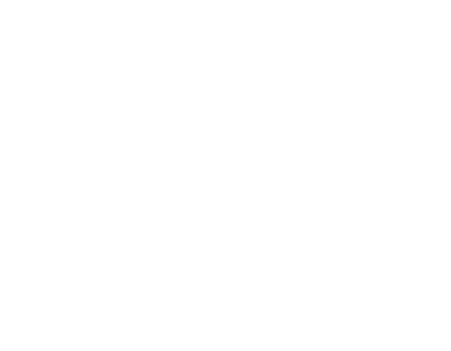 Armée de terre