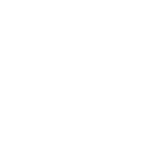 Université de Paris